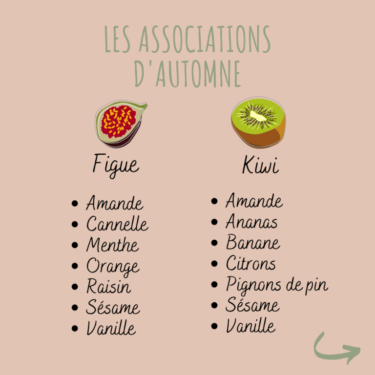 association fruits automne pamplemousse et fruits de la passion