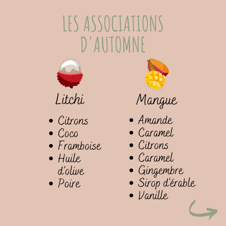 association fruits automne litchi mangue